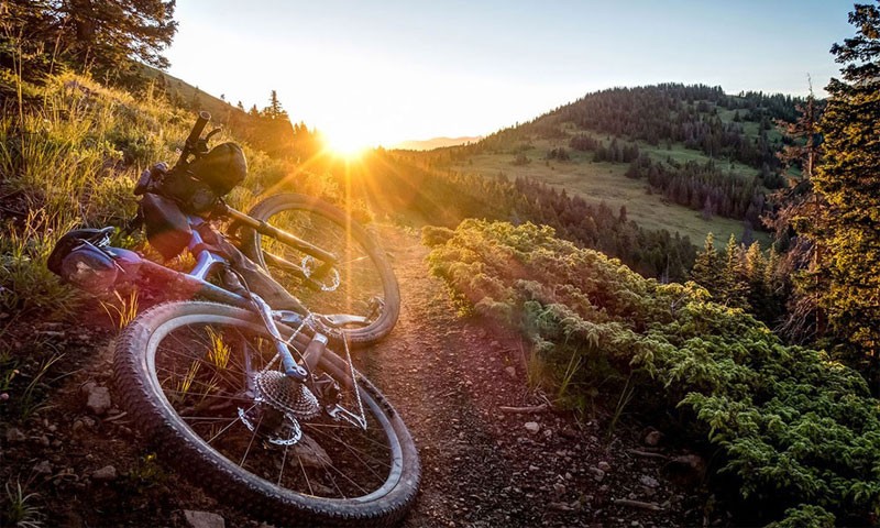 ut-ut-excepturi-modi-praesentium-doloribus-perferendis