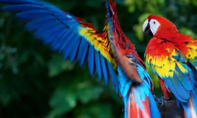 Sunt velit temporibus aut voluptatem inventore consectetur in.